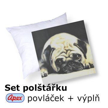 3D obliečka na vankúšik Apex - Mops - set Vankúšik s výplňou + Obliečka