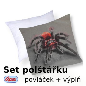 3D obliečka na vankúšik Apex - Pavúk - set Vankúšik s výplňou + Obliečka